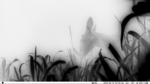 행사 관련 사진 3