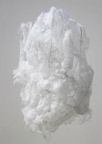 행사 관련 사진 4