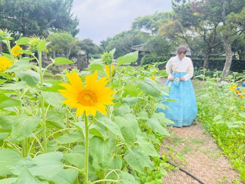행사 관련 사진 1