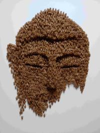 행사 관련 사진 3