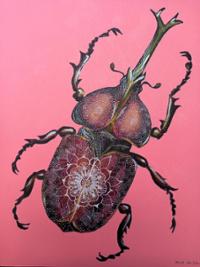 행사 관련 사진 11