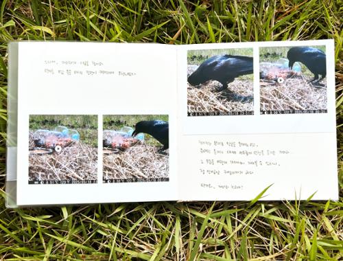 행사 관련 사진 9