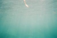 행사 관련 사진 2