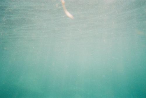 행사 관련 사진 2