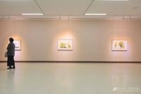 행사 관련 사진 1