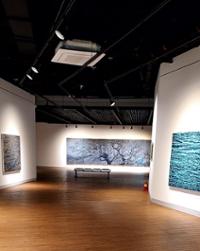 행사 관련 사진 1