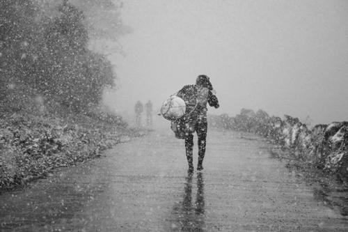 행사 관련 사진 1