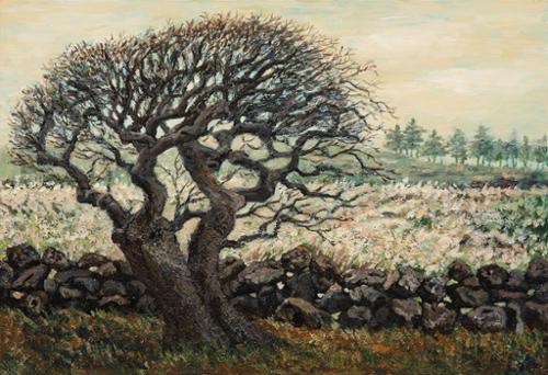 행사 관련 사진 2