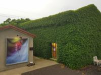 행사 관련 사진 5