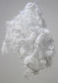 행사 관련 사진 5