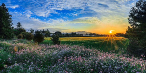 행사 관련 사진 5