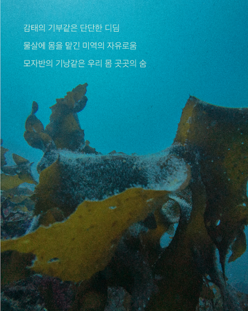 행사 관련 사진 6