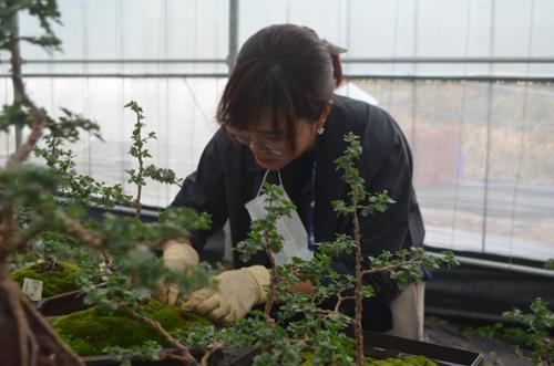 행사 관련 사진 2