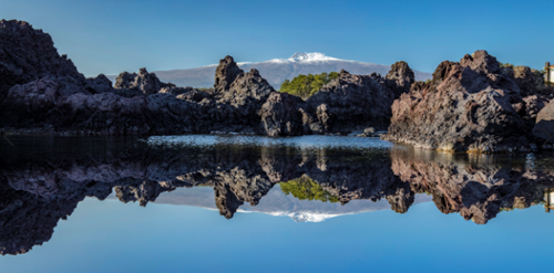 행사 관련 사진 7