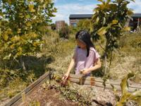 행사 관련 사진 3