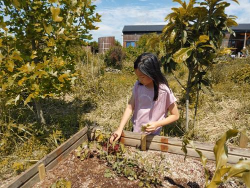 행사 관련 사진 3