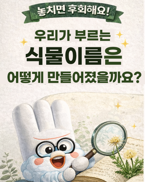 행사 관련 사진 2