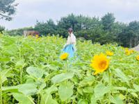 행사 관련 사진 10