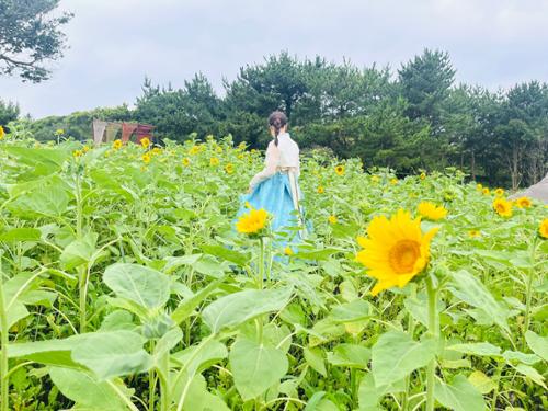 행사 관련 사진 10