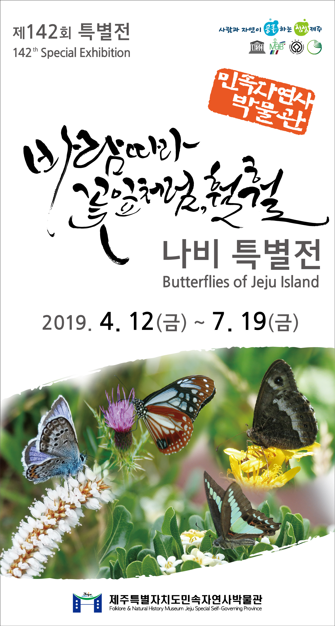 바람 따라 꽃잎처럼, 훨훨 나비 특별전