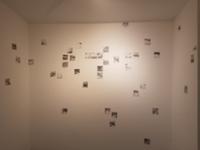 행사 관련 사진 6