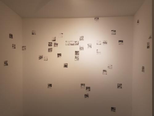 행사 관련 사진 6