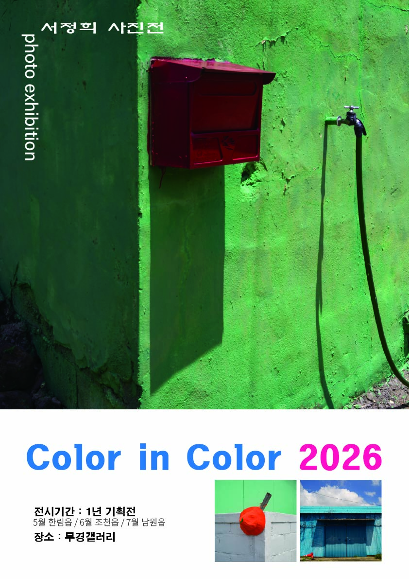 color in color 2026