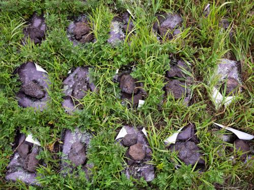 행사 관련 사진 10