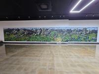 행사 관련 사진 1