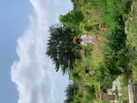 행사 관련 사진 2