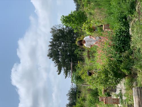 행사 관련 사진 2