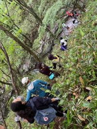 행사 관련 사진 5