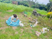 행사 관련 사진 4