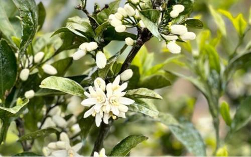 행사 관련 사진 2