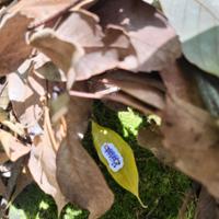 행사 관련 사진 4