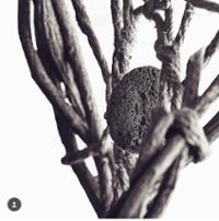 행사 관련 사진 1