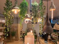 행사 관련 사진 6