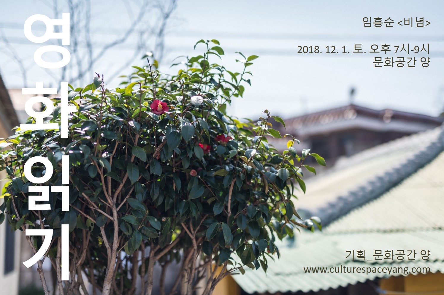 영화읽기 《비념》