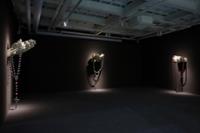 행사 관련 사진 2