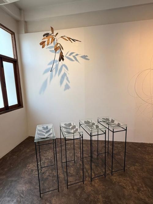 행사 관련 사진 1