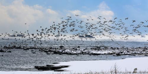 행사 관련 사진 3