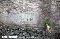 행사 관련 사진 1