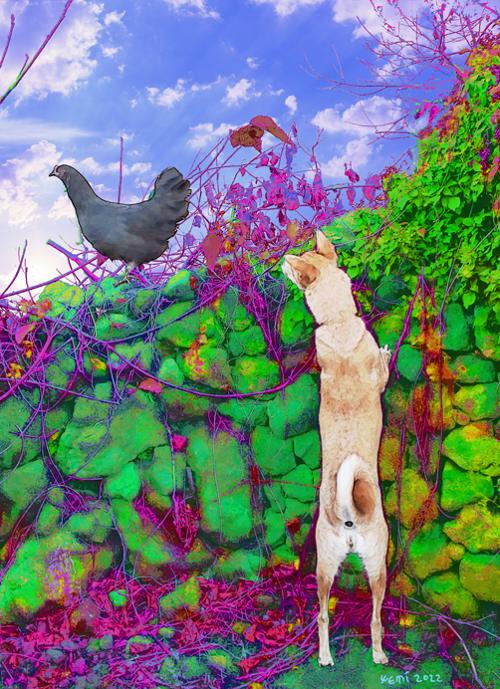 행사 관련 사진 11