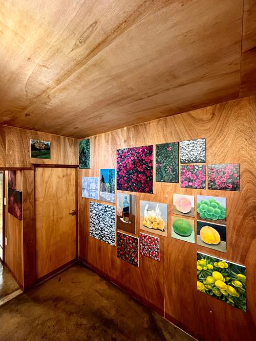 행사 관련 사진 9