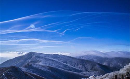 행사 관련 사진 2