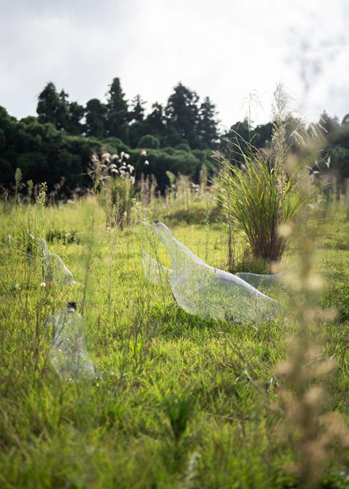 행사 관련 사진 5