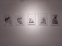 행사 관련 사진 9