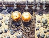 행사 관련 사진 1