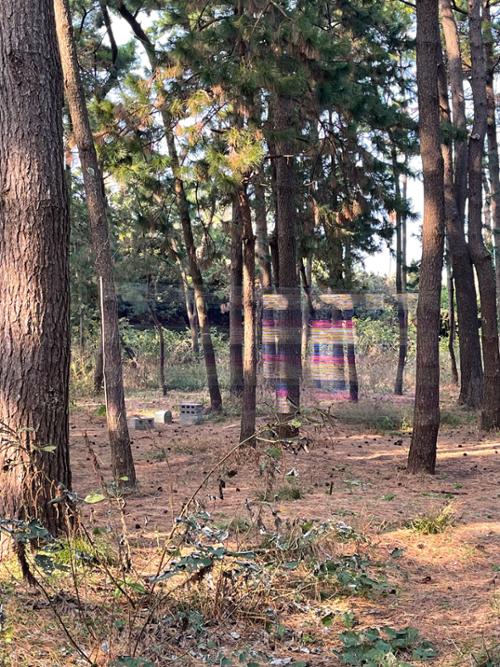 행사 관련 사진 2