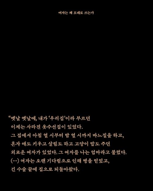 행사 관련 사진 3